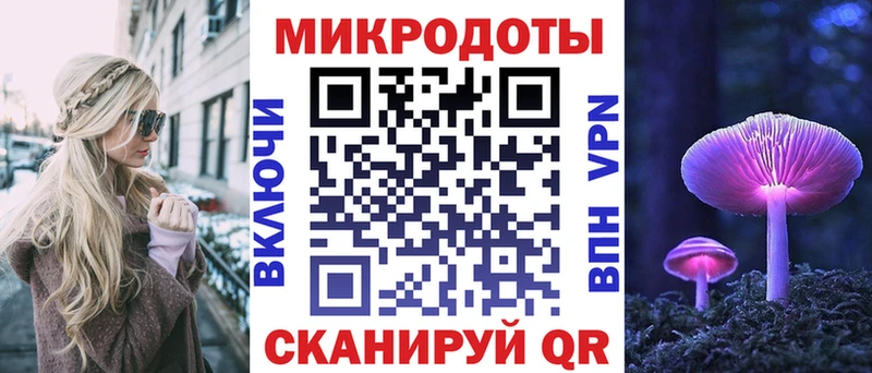 МЕГА   Ковров  Псилоцибиновые грибы Cubensis 